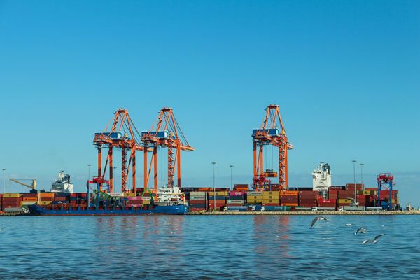 Orange gantry cranes over a container terminal seen from the water.