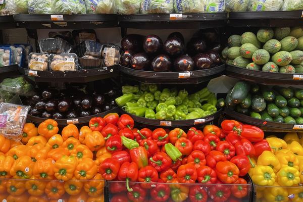Piles of peppers, eggplant and squash in a supermarket produce aisle.