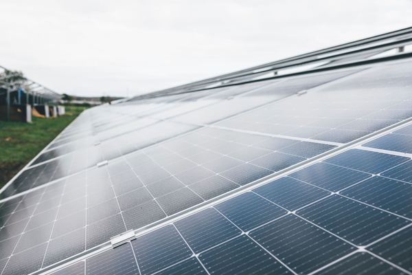 Rows of solar panels under an overcast sky