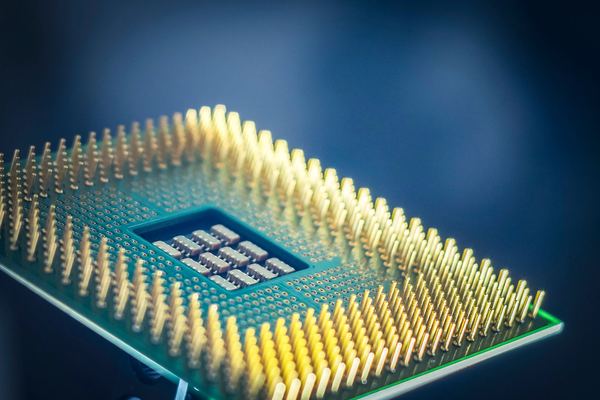 Close-up of a computer processor chip with gold pins on a dark blue background